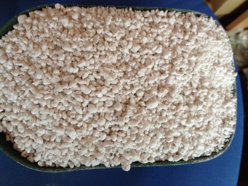 100l perlite premium - 100l,