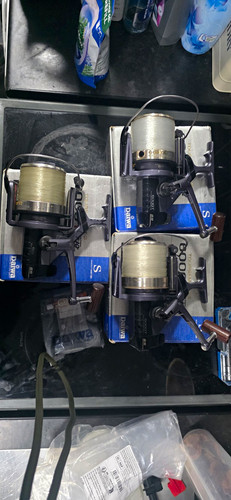 Daiwa tournament 6000t - tournament,