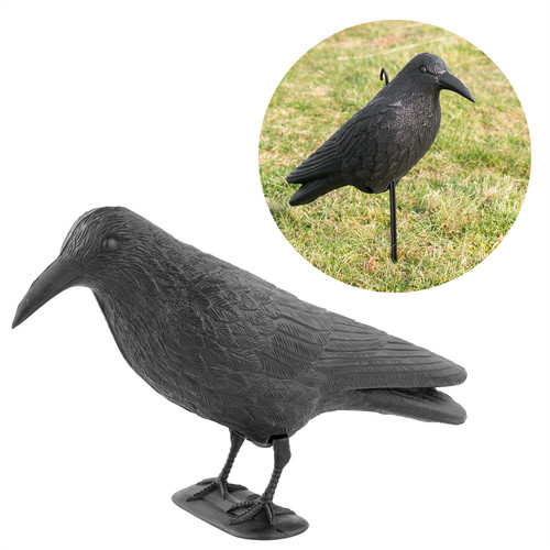 Decoy crow garden pest - garden,