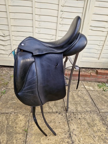 Paul fielder w dressage - fielder,