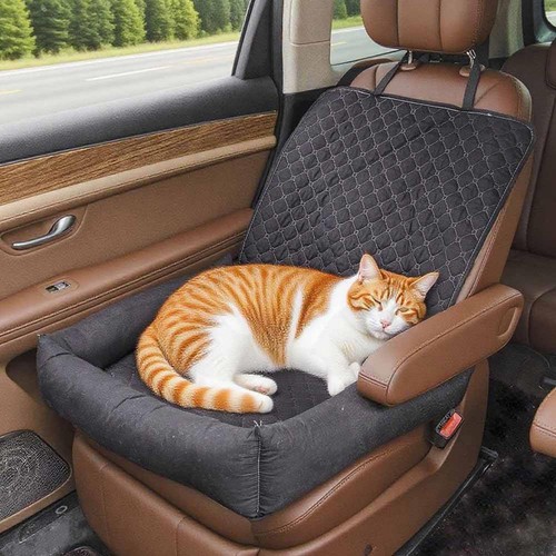 Dog cat car - cat, seat