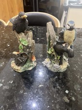 Leonardo collection Blackbird