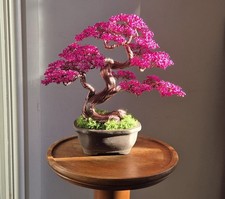 Handmade Wire Bonsai Tree