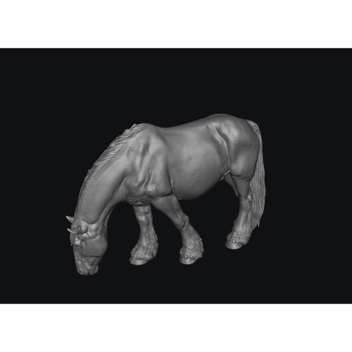 Smff004 shire horse - smff004, b