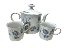 Mitterteich Bavaria Forget Me