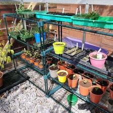 2 x Woodside Greenhouse Shelving Shed Racking Garage Staging Storage Shelves