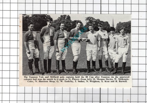 Taunton vale polo millfield - ,