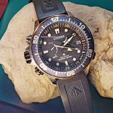 2019 Citizen Promaster