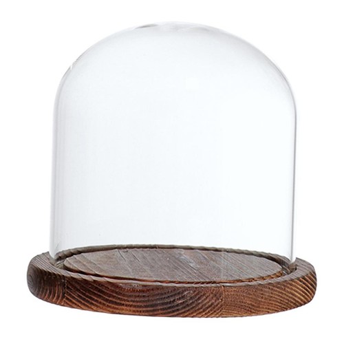 Glass dome cloche with wooden - cloche,