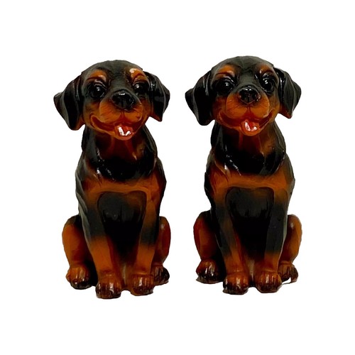 Pair sitting rottweiler - of,