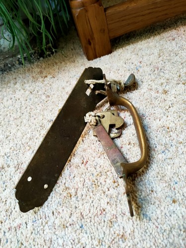 Large antique brass door - large,