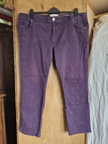 Debenhams mantaray purple - mantaray,