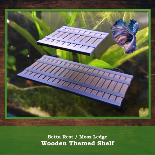 Aquarium shelf plant ledge - ledge,