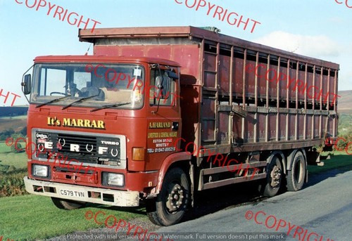 Truck lorry photo - photo, a