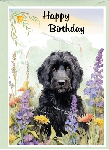 Labradoodle doodle dog - labradoodle,