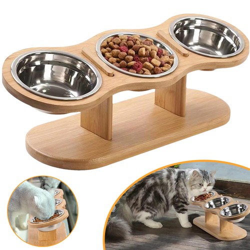Raised dog bowl - bowl, pet
