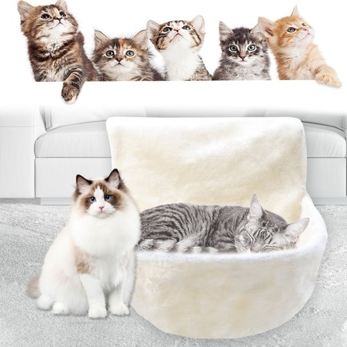 Cat radiator bed warm winter - cat,