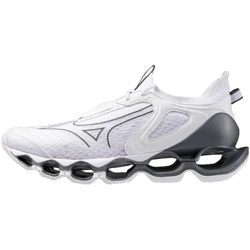 Mizuno wave prophecy - mizuno, 14