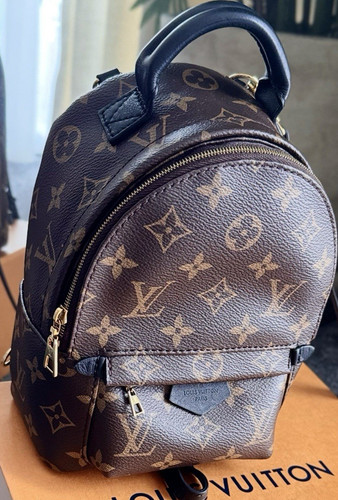 Louis vuitton palm springs - louis,