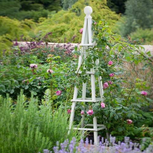 Wooden garden obelisk sage - obelisk,