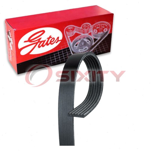 Gates micro serpentine - gates,