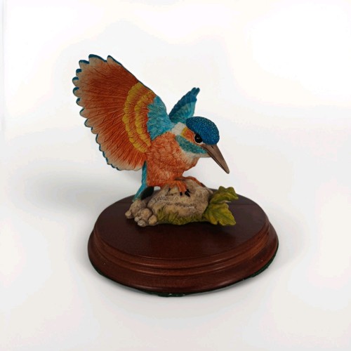 The leonardo collection - collection, nature
