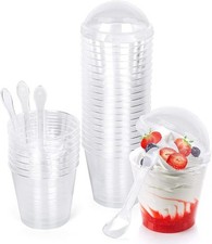 30 Pack Plastic Smoothie