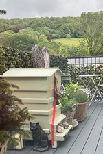 FAB VINTAGE ANTIQUE BEEHIVE /