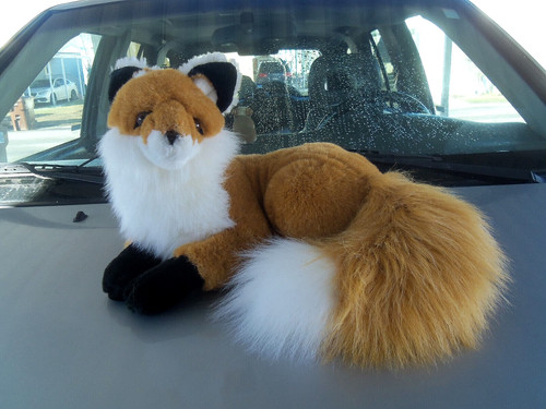 Fox plush stuffed animal - , 12"