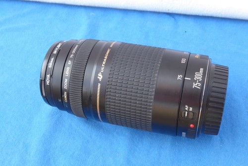 Canon zoom lens 300mm - lens, ef