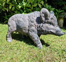 Female Sow Wild Boar Pig