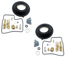 2x carburetor repair kit with