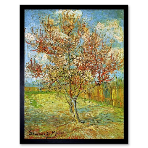Vincent van gogh pink - van,