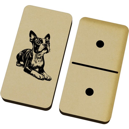 Cute boston terrier - boston, domino