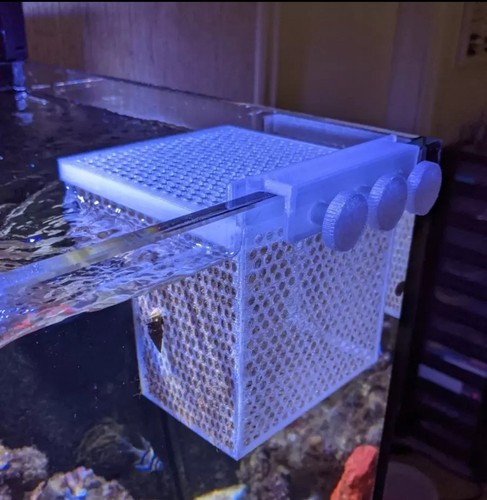 Coral fish basket - fish,