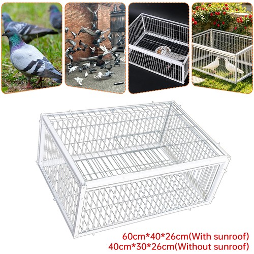 Pigeon trap channel - trap, one