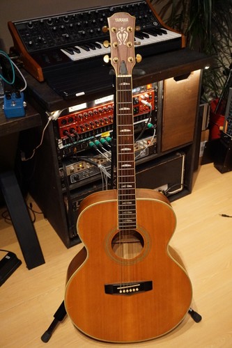 Yamaha acoustic guitar jumbo - acoustic,