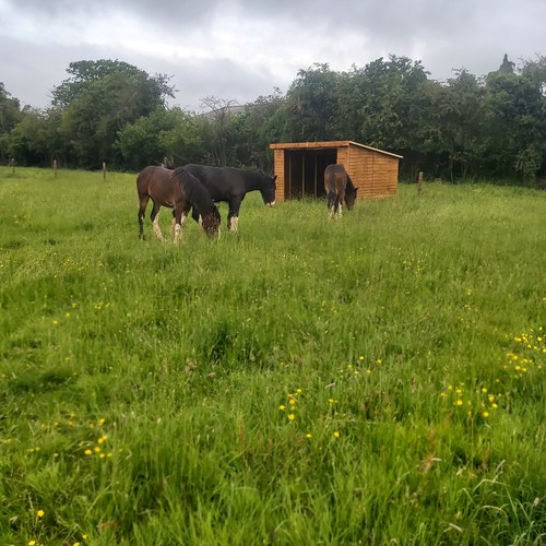 Mobile field shelters - mobile,