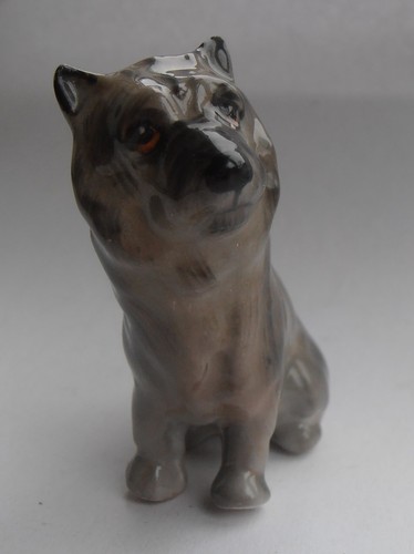 Cairn terrier k11 from - k11, the