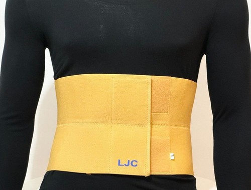 Lower back support belt - lower,