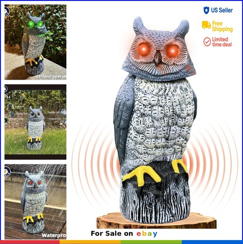 Solar garden owl statue 9 - garden, 16.9