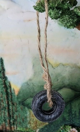 Old fashioned tire swing - tire, ws