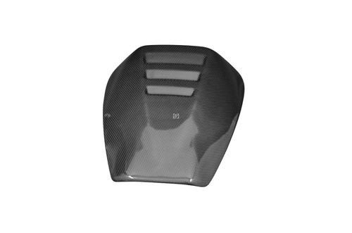 Carbon fiber pillion seat - fiber,