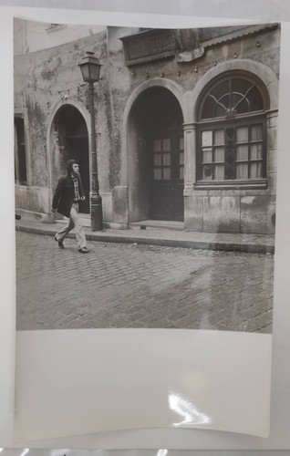 Adamo original photography - -,