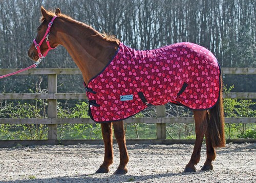 Maxima fleece rug for horse - maxima,