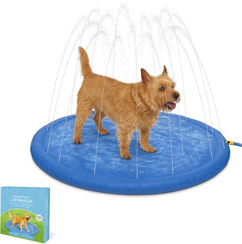 Pet splash pool sprinkler - pet,