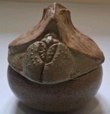 Vintage Bernard Rooke Trinket