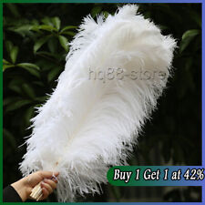 10Pc pack Large Ostrich Feathers For Wedding Party Costume Decoration 25-30cm