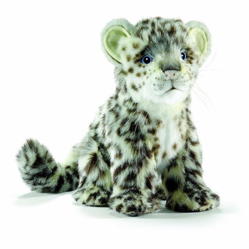 Hansa sitting snow - leopard, cub