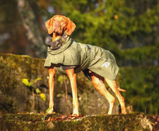 Rukka Pets Sky Dog Raincoat